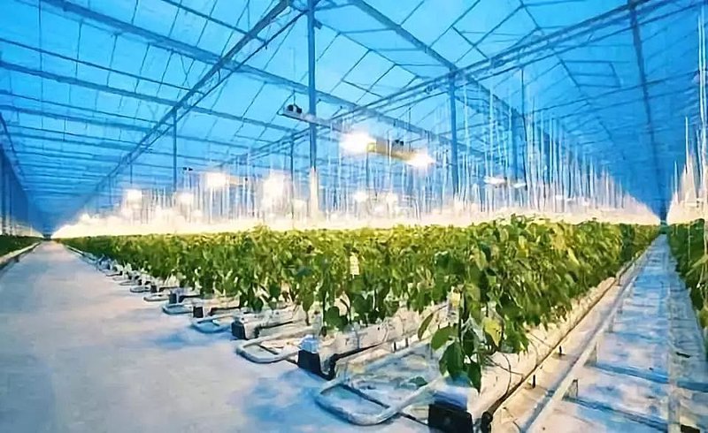 智慧农业股票:未来农业的希望与挑战