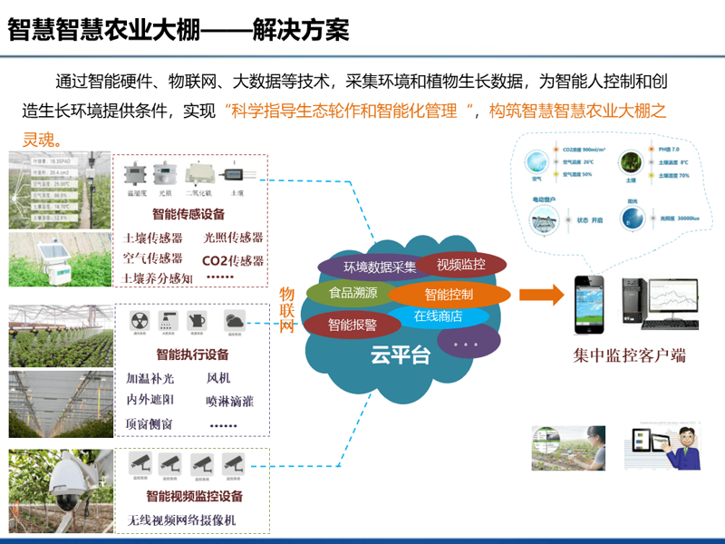 智慧农业股票：如何抓住未来增长机遇？